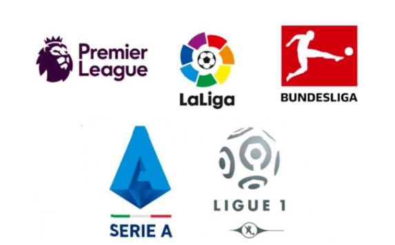 更是引发了 更是引发了